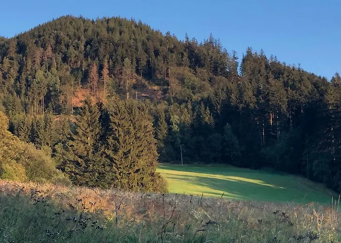 Sloneczne Apartment *